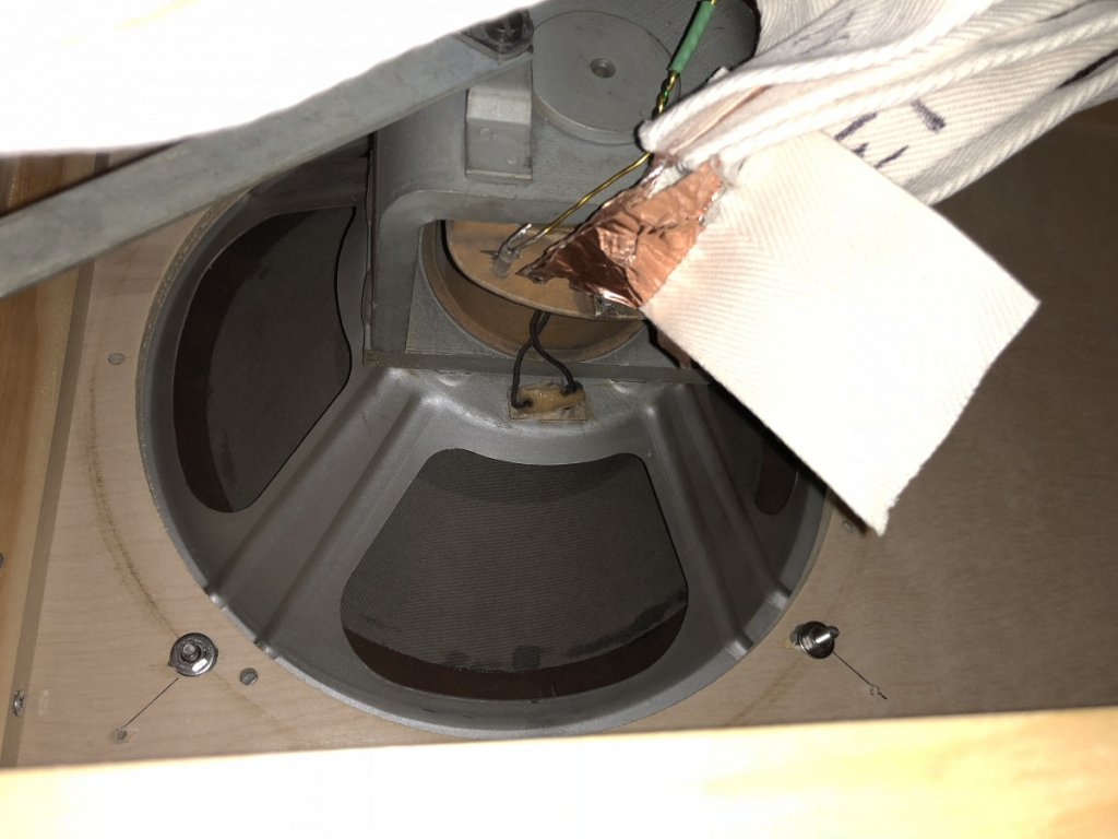 Lower Speaker Detail - Back