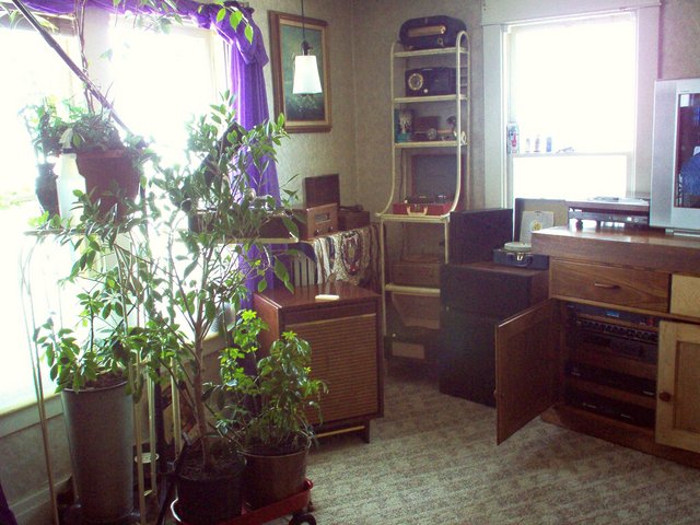 My listening area - Vintage wind up Waters Conley Phonograph on tilt stand. Mint fully functional. Vintage Columbia Phono Changer with Altec M15 extension speaker, all tube, 12ax7 preamp, 3 6L6's for power amp. Plays my Meissner tube tuner also.