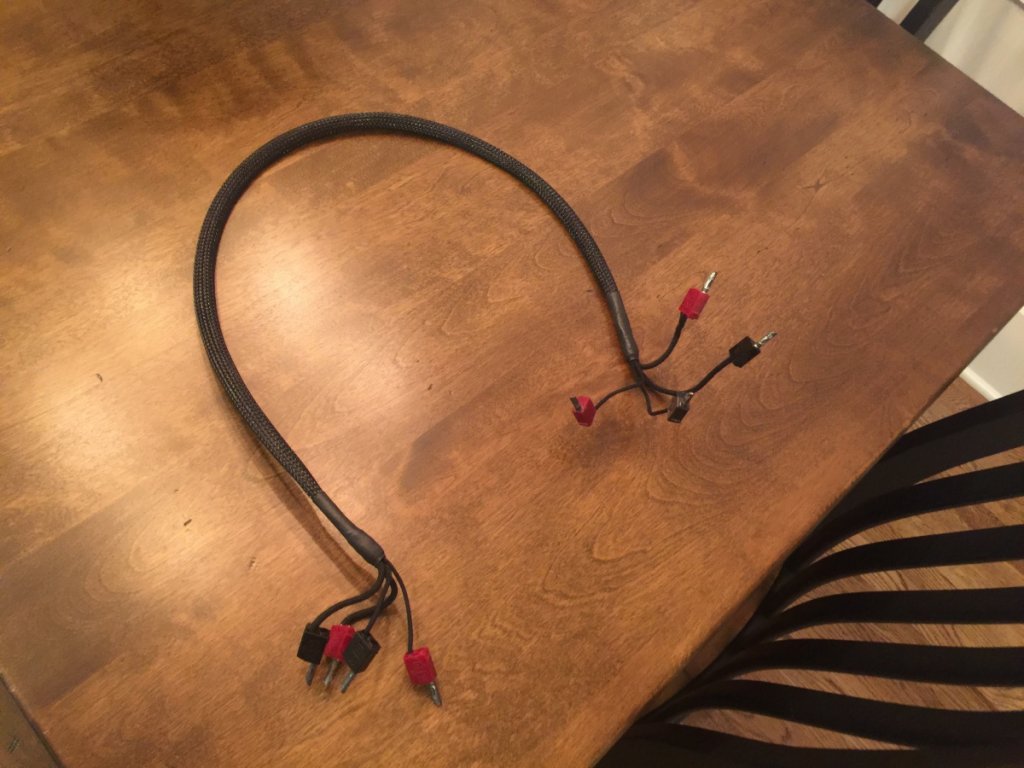 Duelund wire harness from crossover to speaker