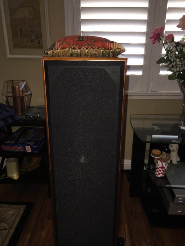 Overall view of bag on top of speaker