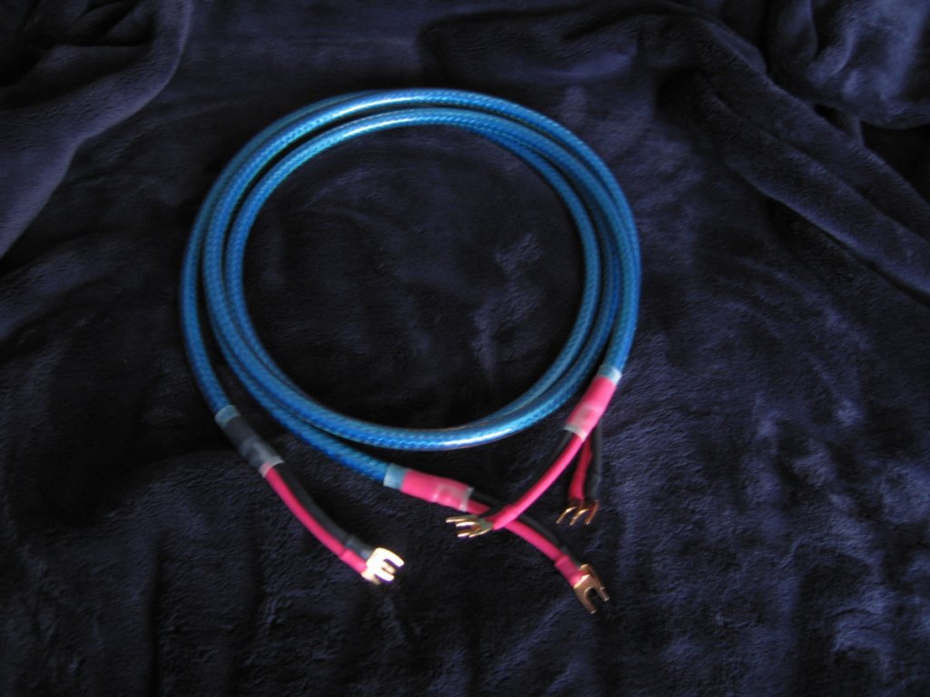 SW1