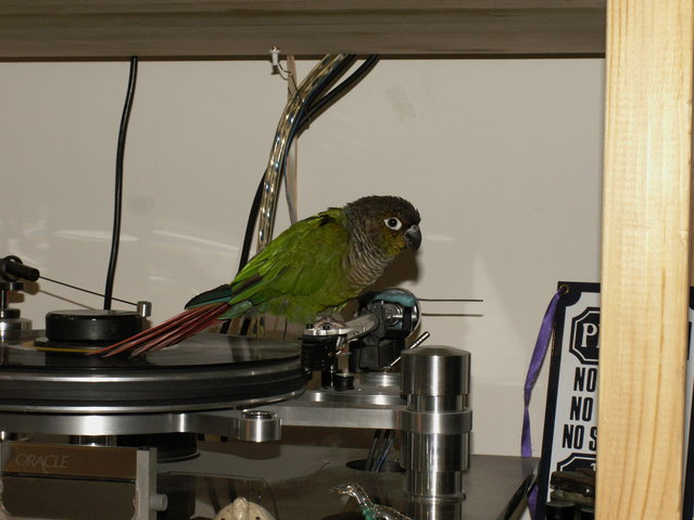 (Untitled)