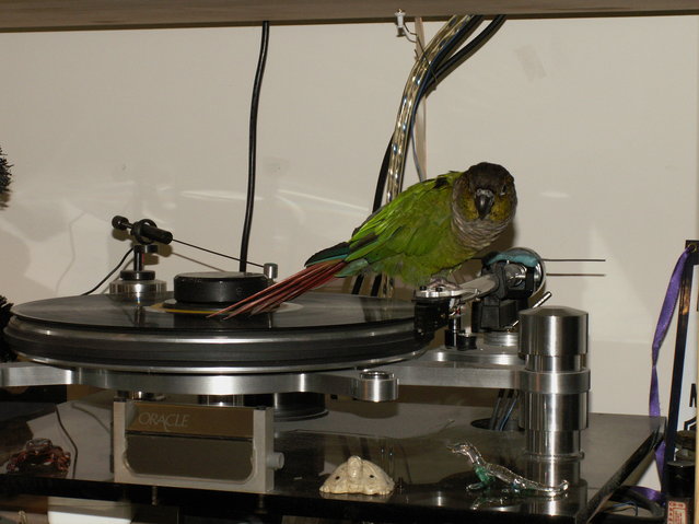 (Untitled)