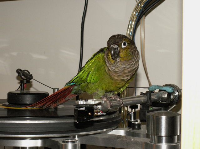 (Untitled)