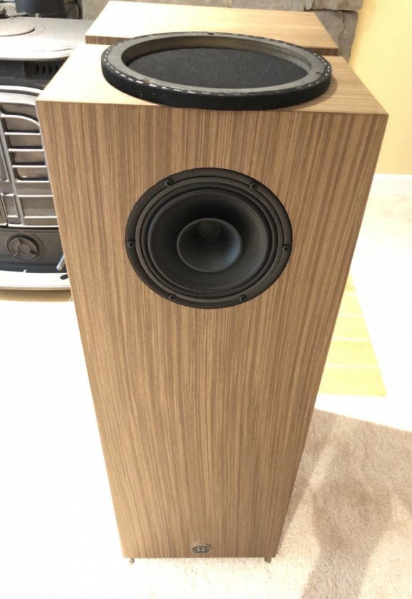 Speaker cone