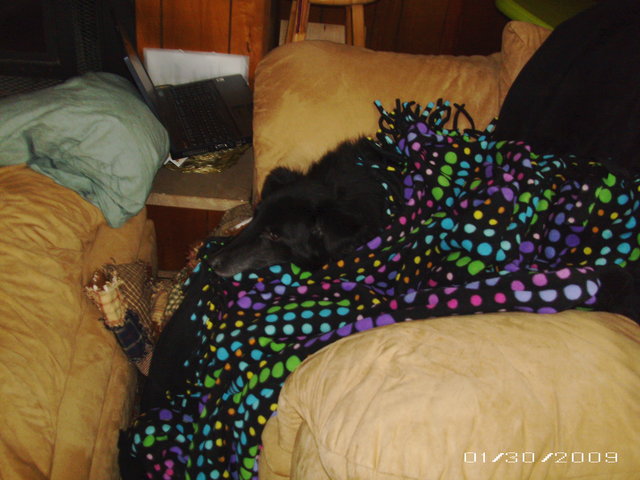 (Untitled)