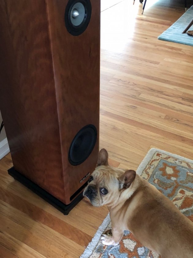 Curious, but once they started playing Phoebe approved!
