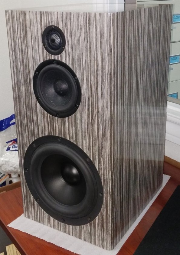 Selah Audio Vigore