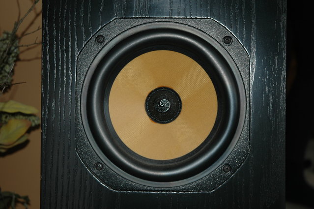Bum Speaker