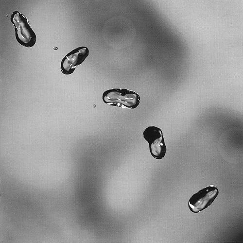 Peter Gabriel Up