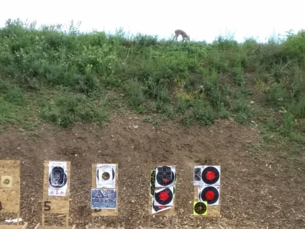 deer-range