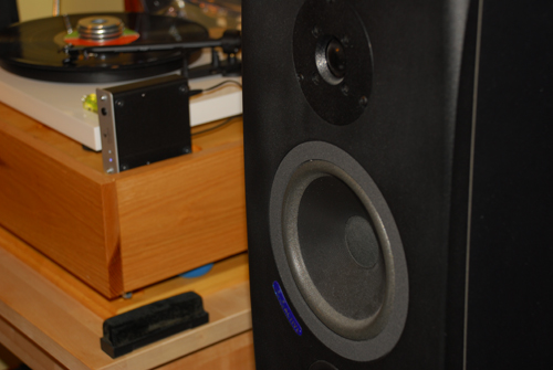 Yorkville YSMp1 - I know there yorkville but I love em. Bi amped, they go down to 40hz