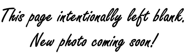 Image place holder.