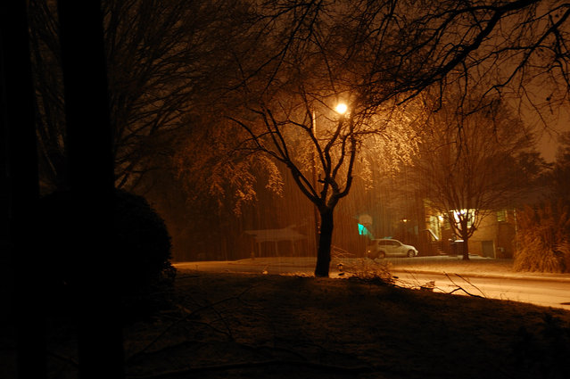 (Untitled)