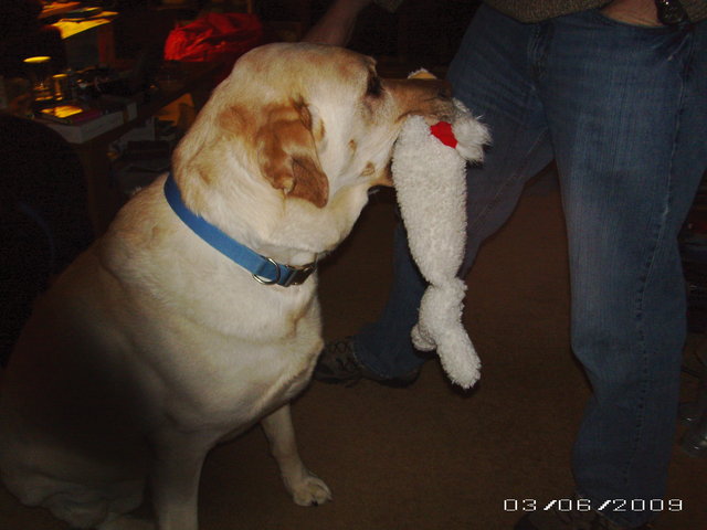 (Untitled)