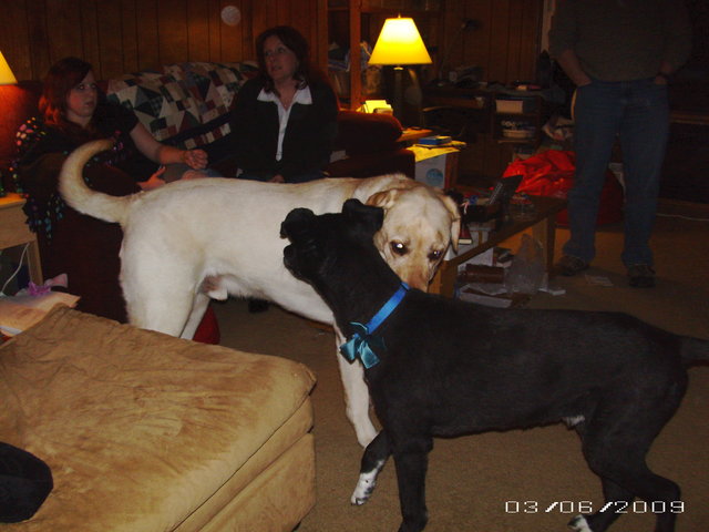 (Untitled)