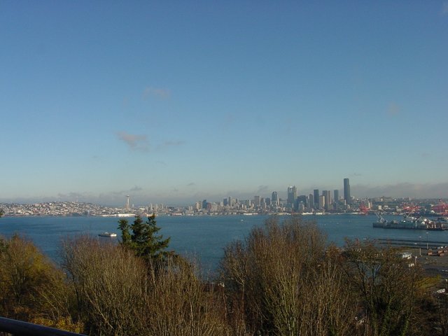 Downtown Seattle from Admiral Way Viewpoint