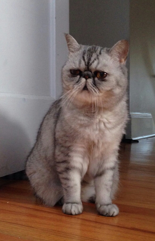 Giles-