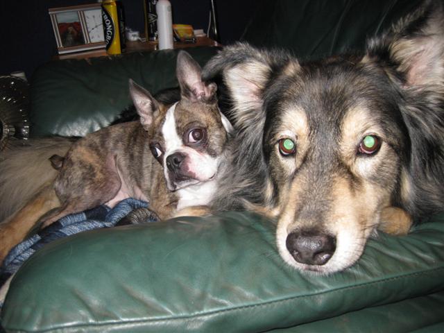 Wilbur posing with Griffen