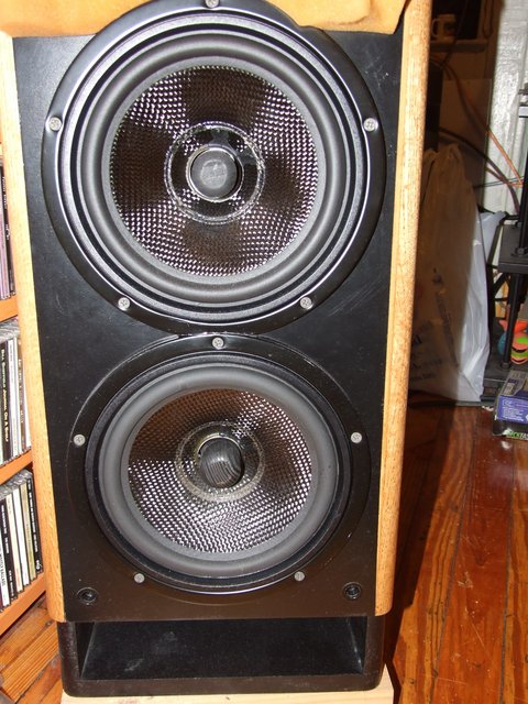 RM1 double woofs. - Carbon fiber babes, they kick ass.
