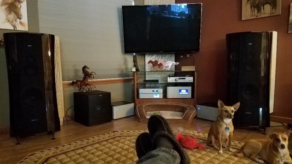Sonus Faber and PS Audio