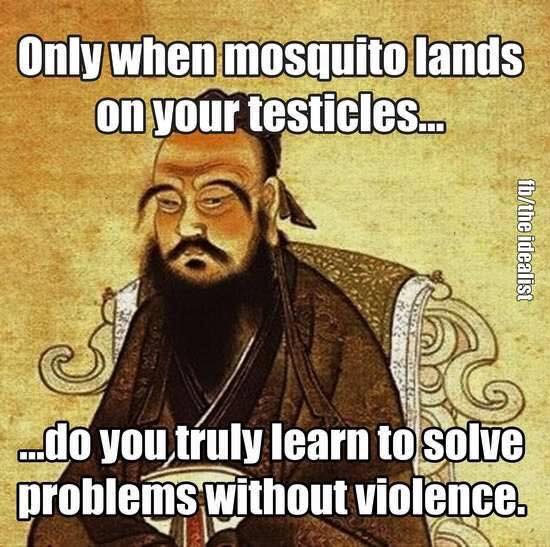 mosquito-violence-joke