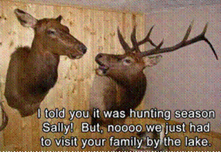 jokes-deer