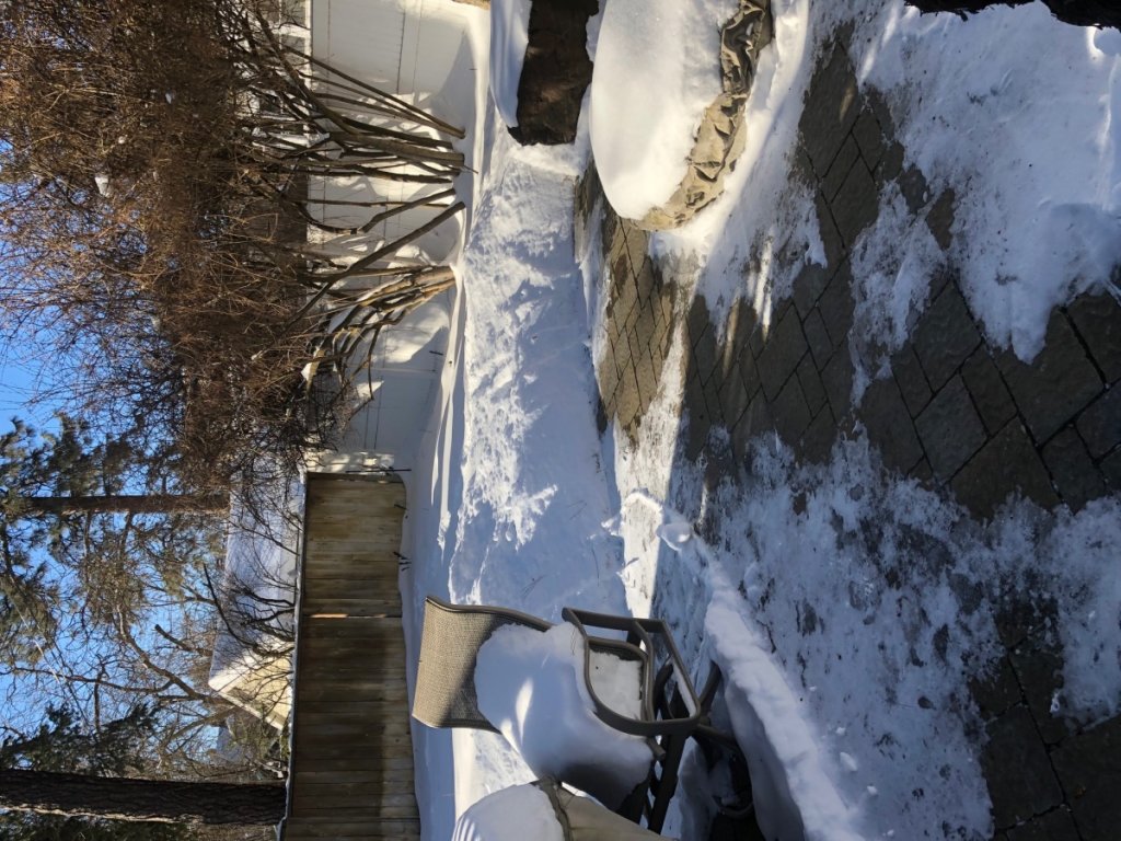 (Untitled)