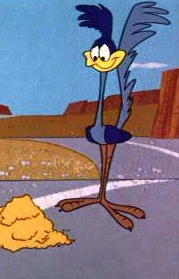 roadrunner