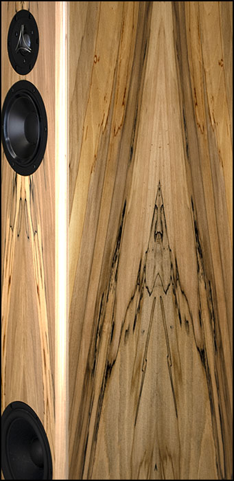 Song3 BeAT Spalted Birch