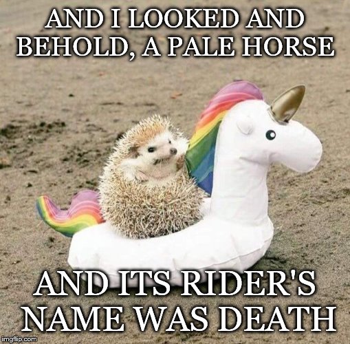 Hedgehog-Unicorn