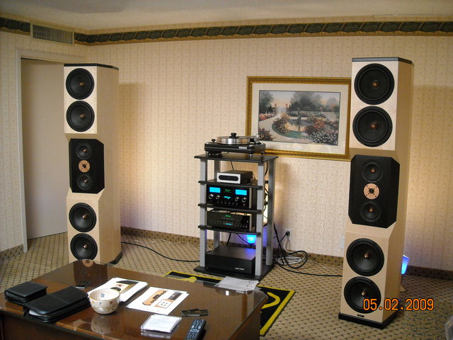 Tyler Acoustics D-10