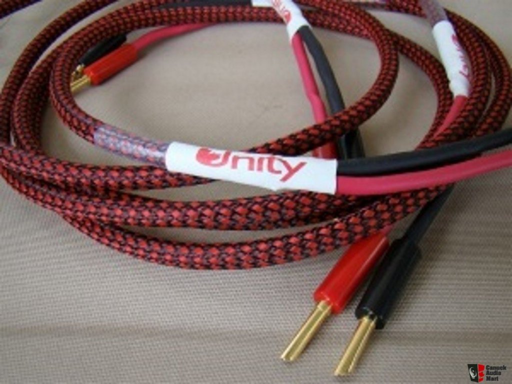 2297078-unity-audio-solid-link-v 2-6ft-demo-pair