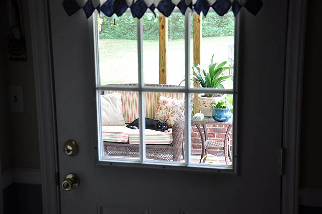 cat through window