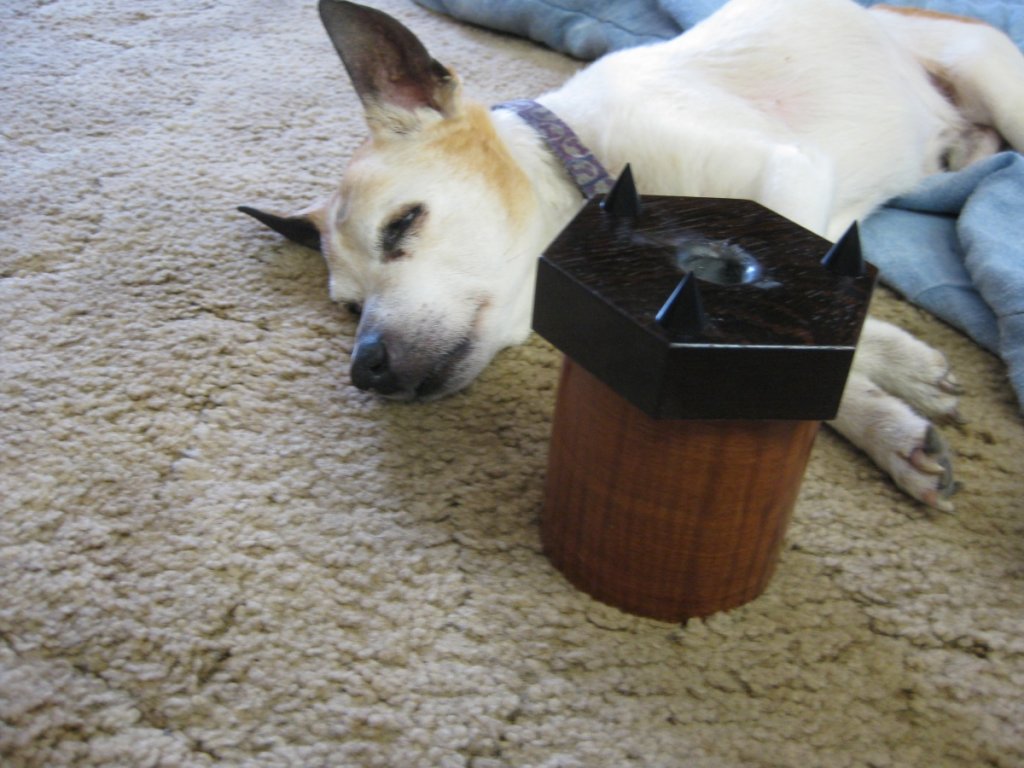 Rufus sleeping next to Dave's pod