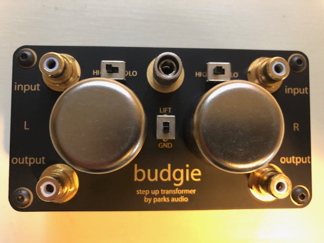 Budgie-2