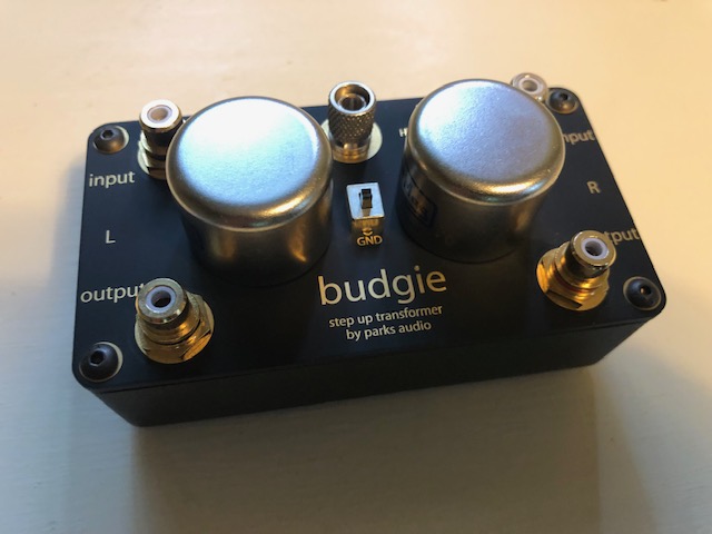 Budgie-3