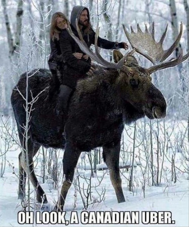 Canadian Uber