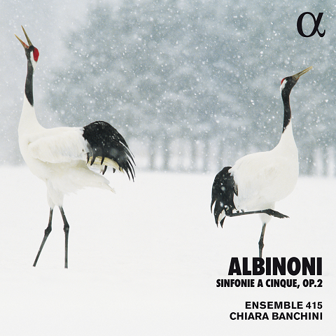 Albinoni---Sinfonie-a-Cinque--Op.-2