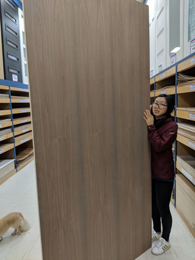 The girlfriend helping me pick plywood, she never got angry at me even once. I don't deserve her!