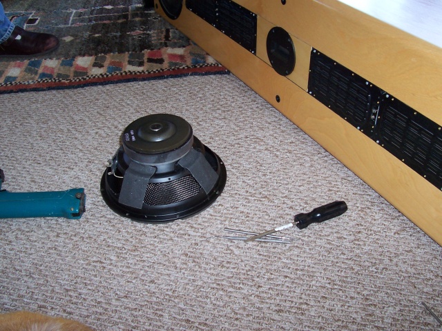 RM 40Mid Woofer 001