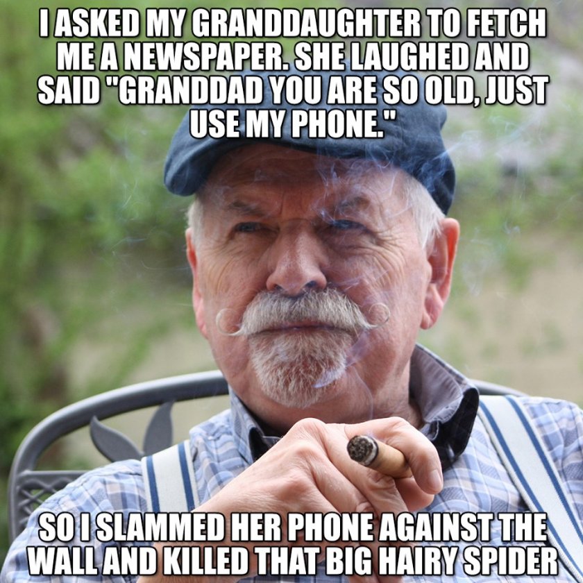 grampa---hairy-spider