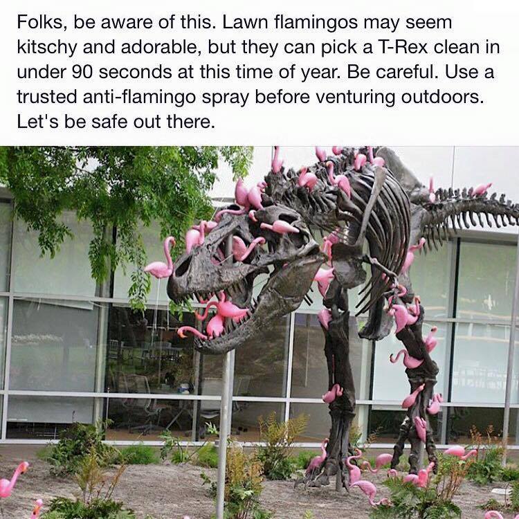 trex