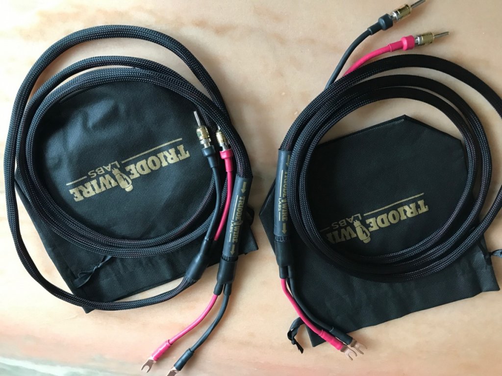 TWL Speaker F