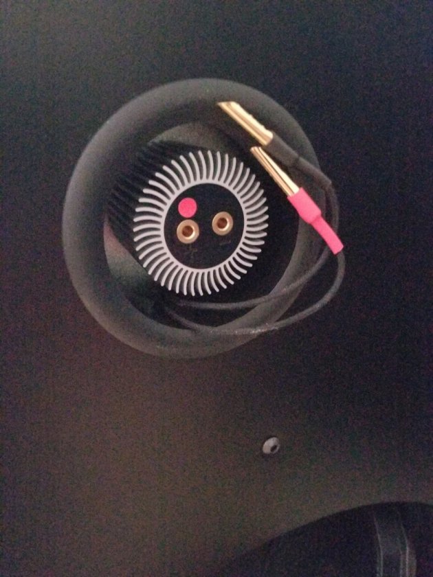 Back of Sapphire Tweeter mid