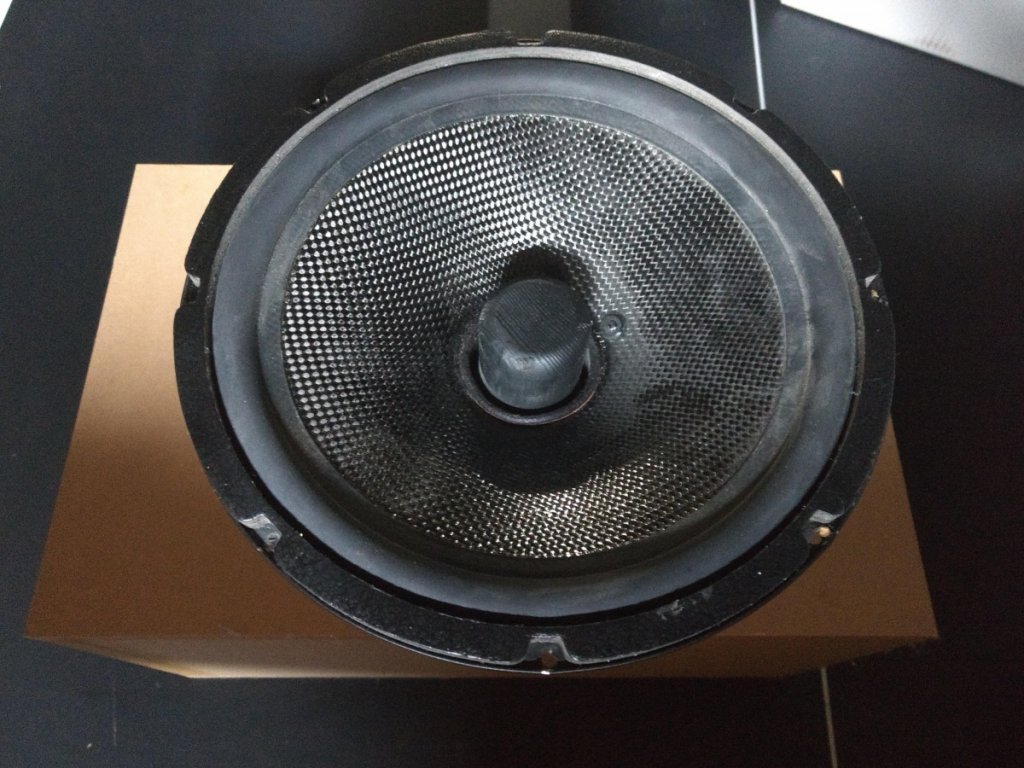 VMPS 10" Misco woofer - front view