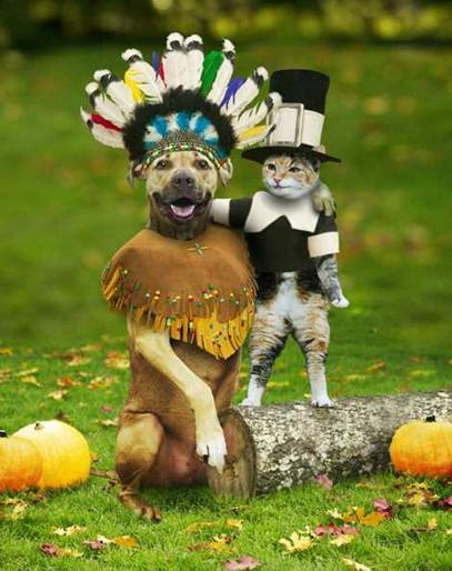 Thanksgiving-Pets