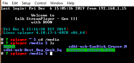 Salkstream-Tera-Term-splayer-media