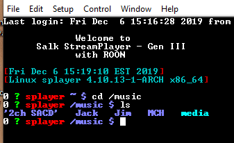 Salkstream-Tera-Term-splayer-music