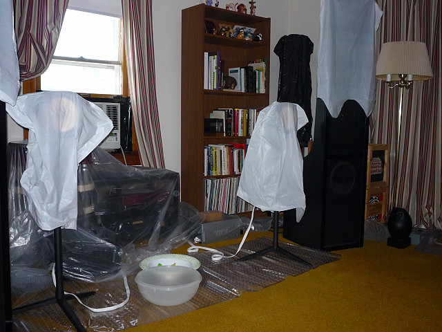 (Untitled)